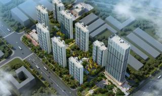 石家庄碧桂园星荟 石家庄碧桂园星荟