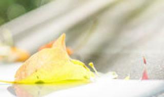 适合六年级的头像 适合六年级的头像