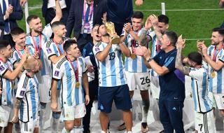 巴西止步世界杯八强 巴西止步世界杯八强