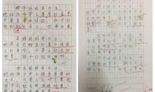 二年级种子传播仿写