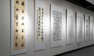 20大召开几天 20大召开几天