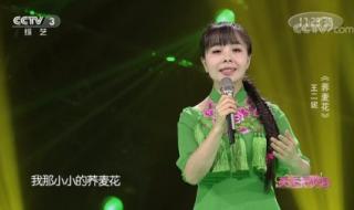 王二妮歌曲 王二妮歌曲
