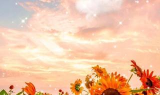 积极向上阳光的文案 积极向上阳光的文案