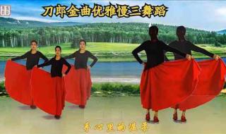 手心里的温柔广场舞 手心里的温柔广场舞