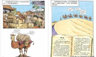 神奇的探险之旅