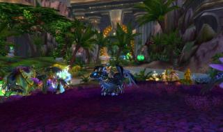 魔兽世界充值链接打不开 魔兽世界战网打不开