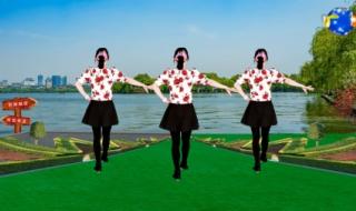 中老年广场舞大全 中老年广场舞大全