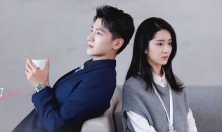 从结婚开始恋爱内容 从结婚开始恋爱内容