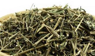 浙江省湖州市安吉县 浙江省湖州市安吉县